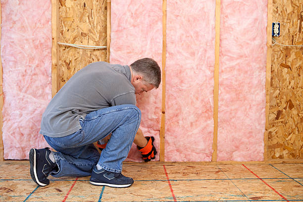 Best Commercial Insulation in Bear Creek, AL